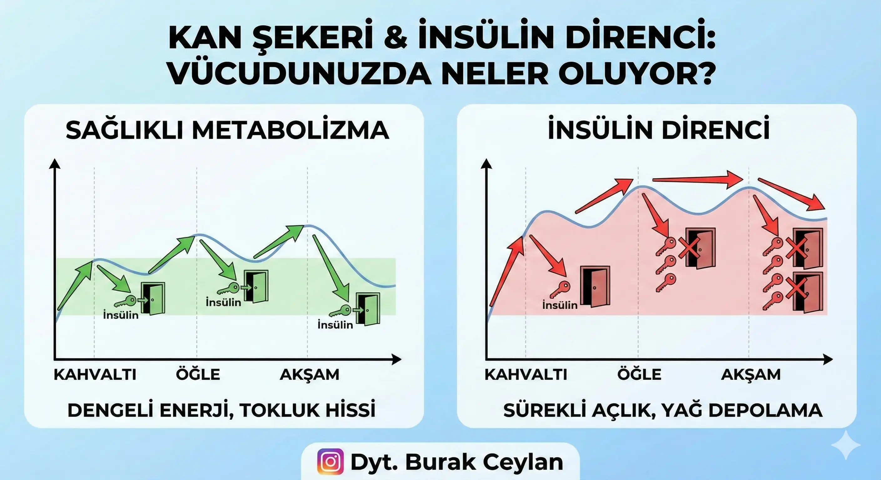 insülin direnci diyeti